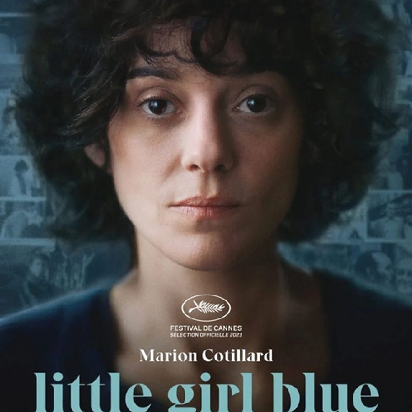 La Chronique cinéma
