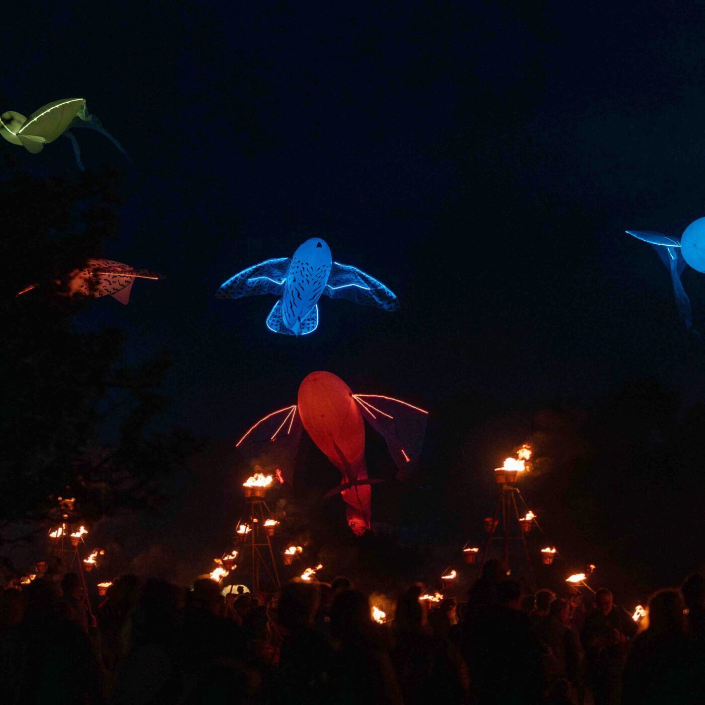 Des milliers de personnes au 50ème anniversaire du Lac du Der episode artwork