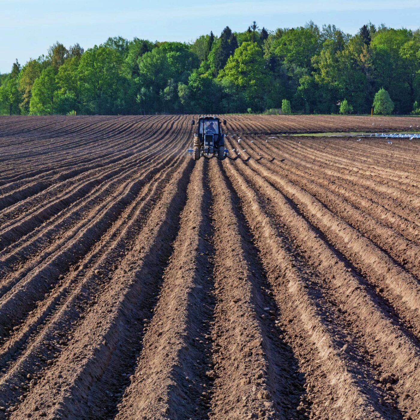Disparition des sols et Ugo Nanni