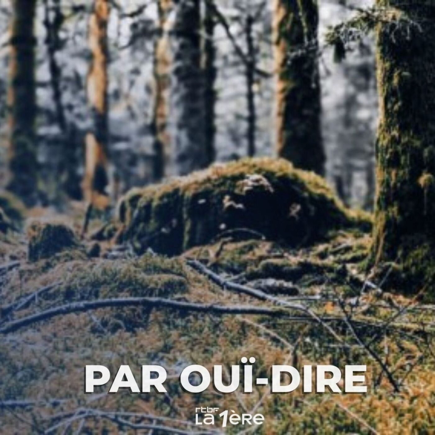 Le Théâtre du Peuple de Bussang