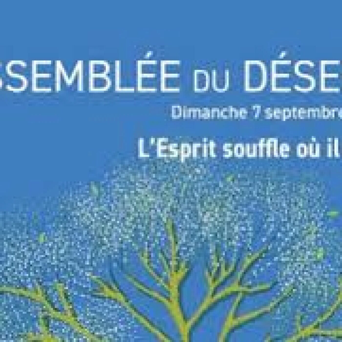 L'Assemblée du désert célèbre la diversité protestante cette année episode artwork