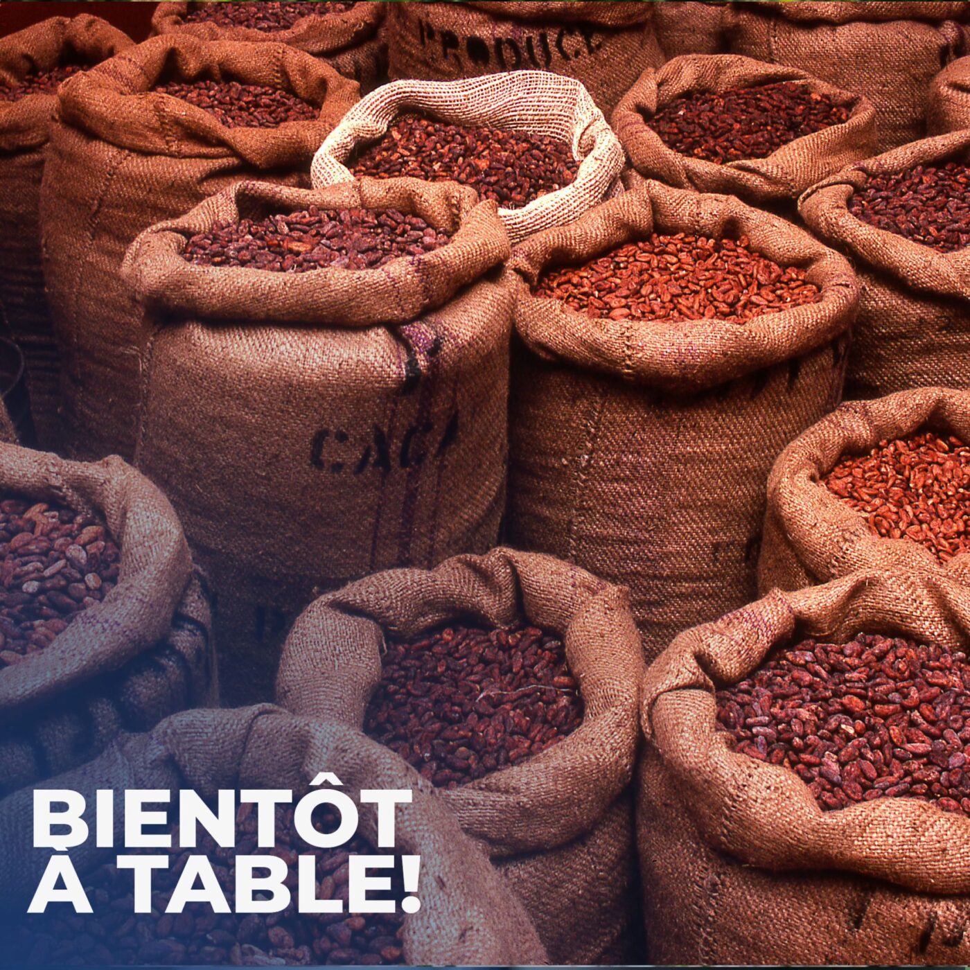 Du métal lourd dans le chocolat?