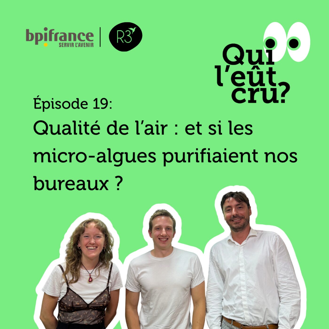 Qualité de l'air : et si les microalgues purifiaient nos bureaux ?