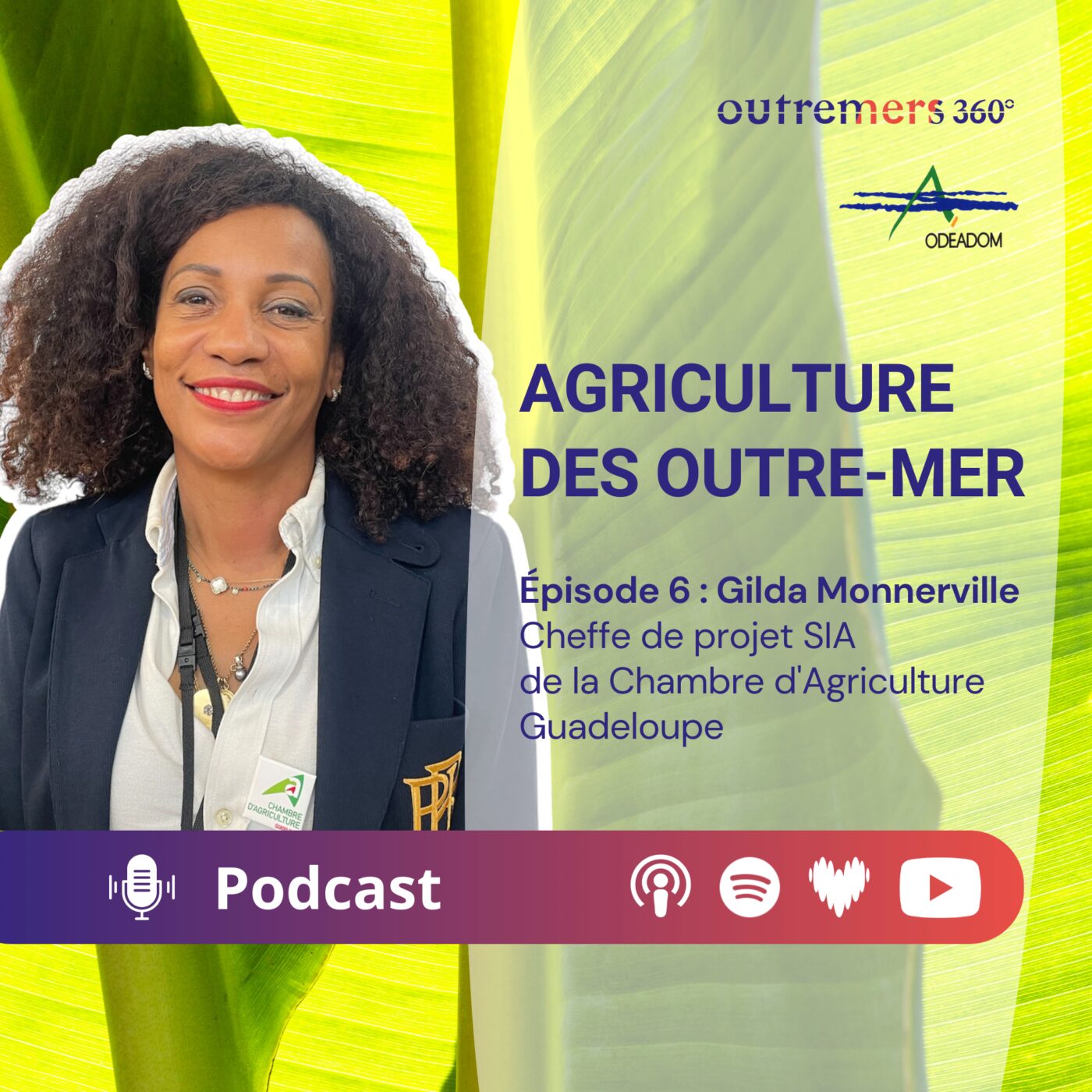 Agriculture des Outre-mer