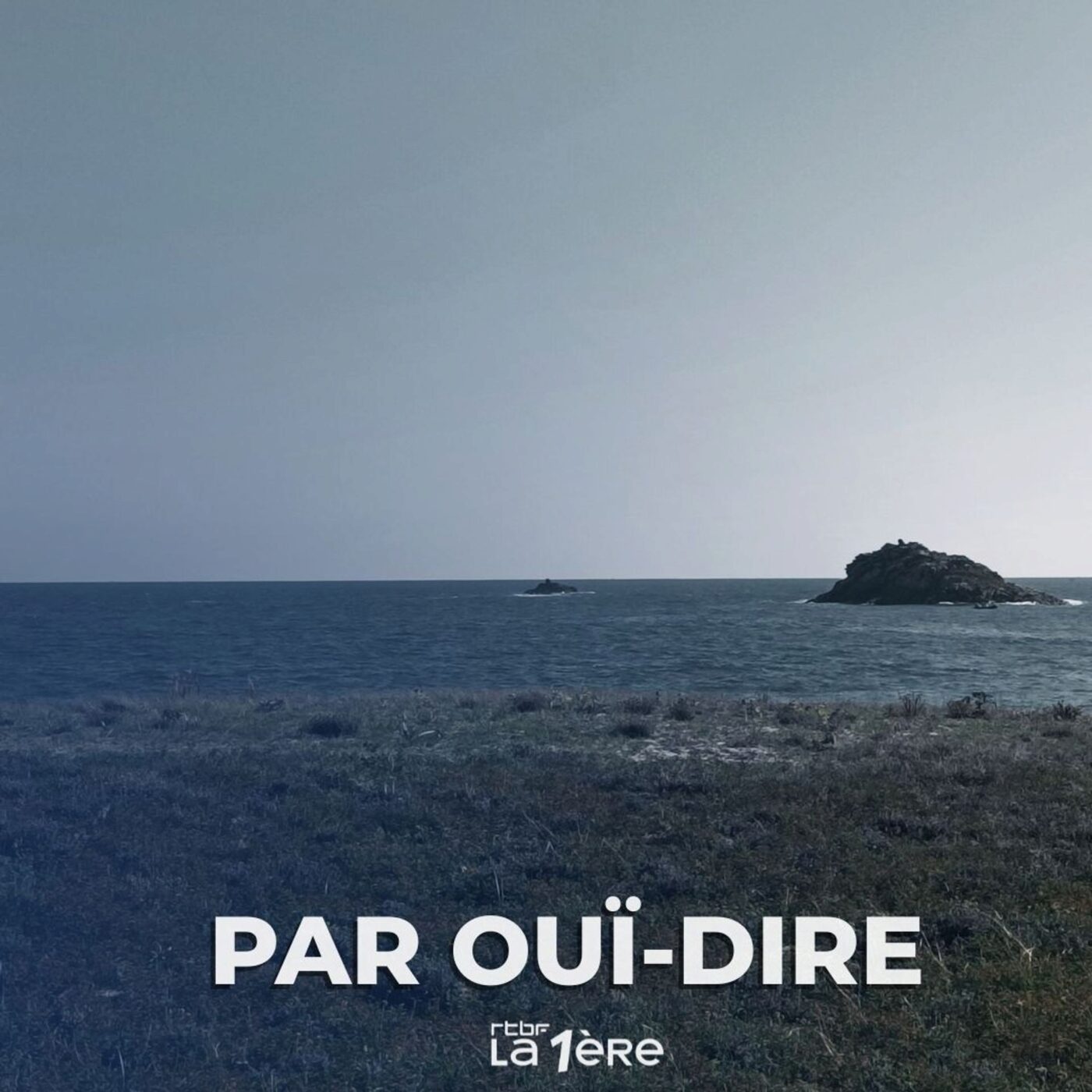 Mon île / Adocéan par Aurélien Frances