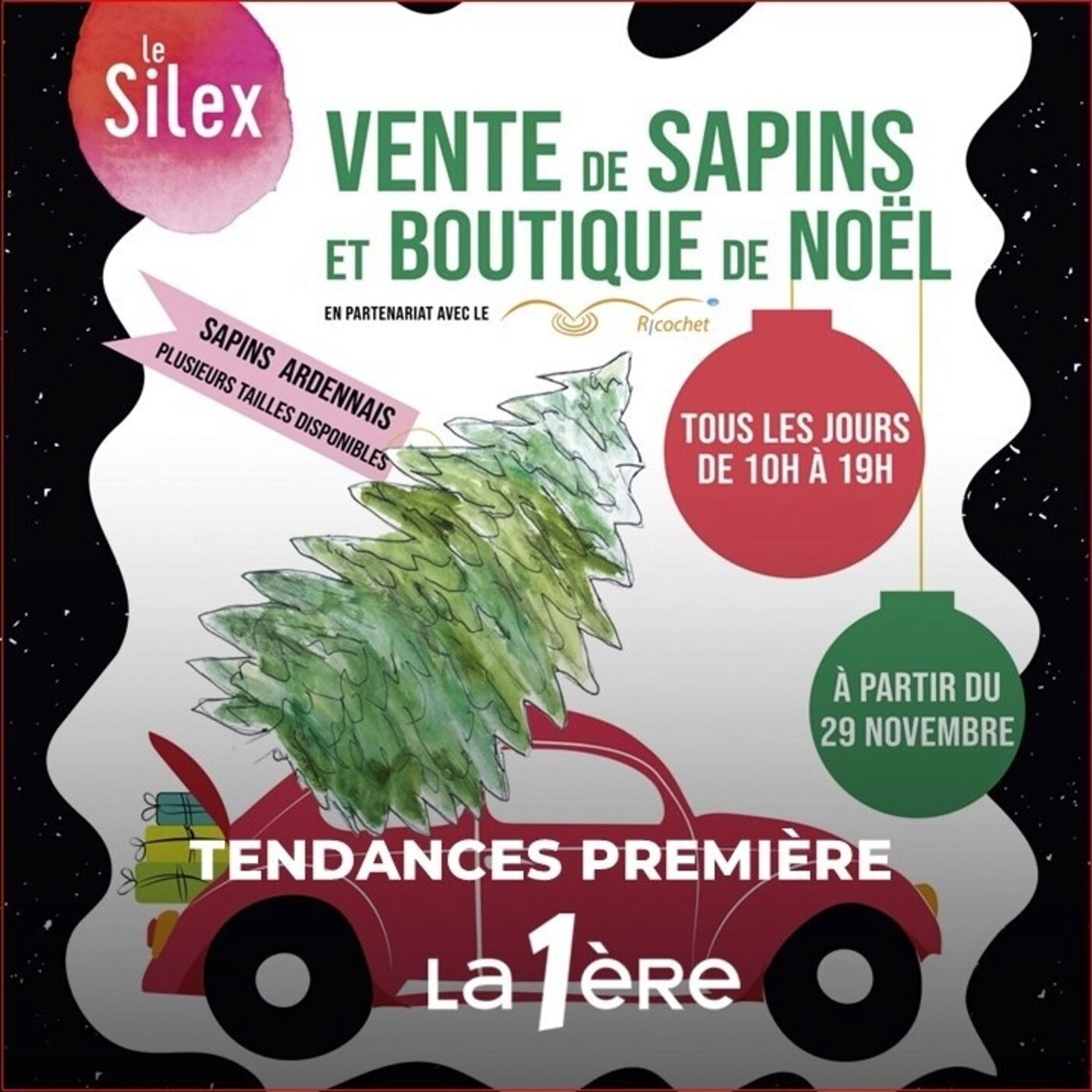 Des sapins pour favoriser l'inclusion sociale !