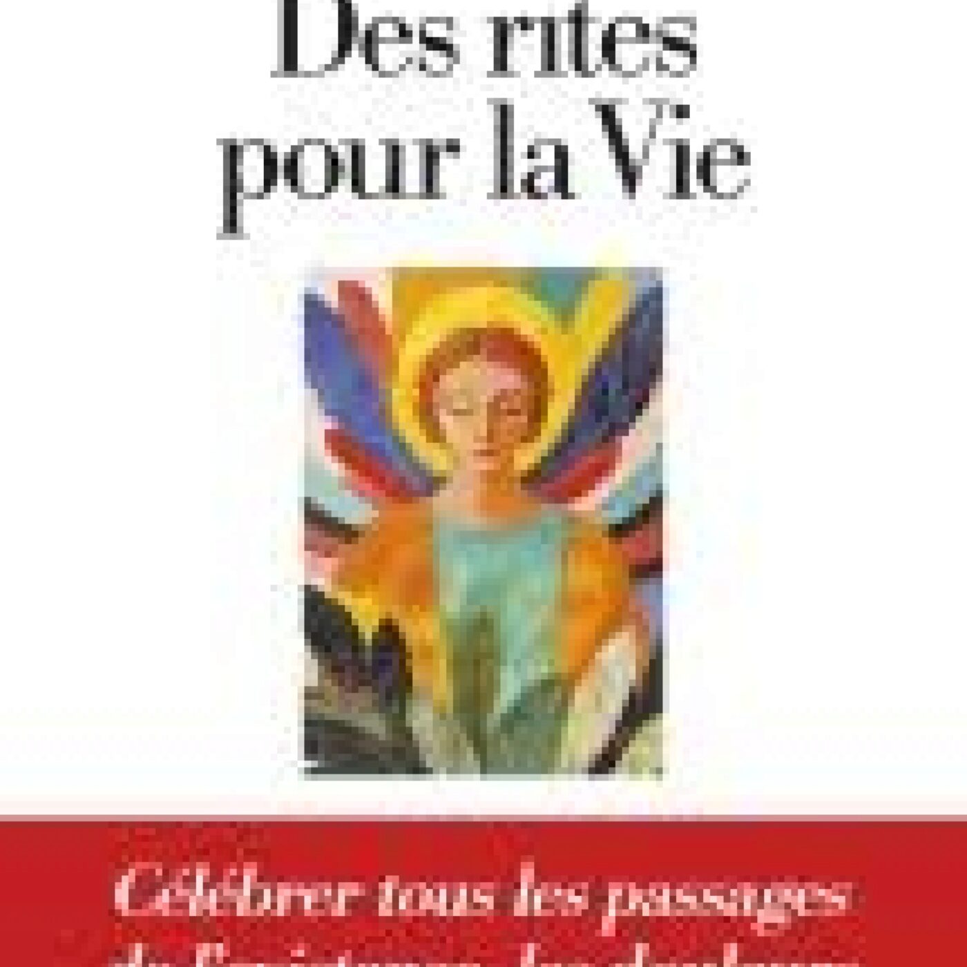 Des rites pour la vie de  Gabriel Ringlet (Albin Michel) episode artwork