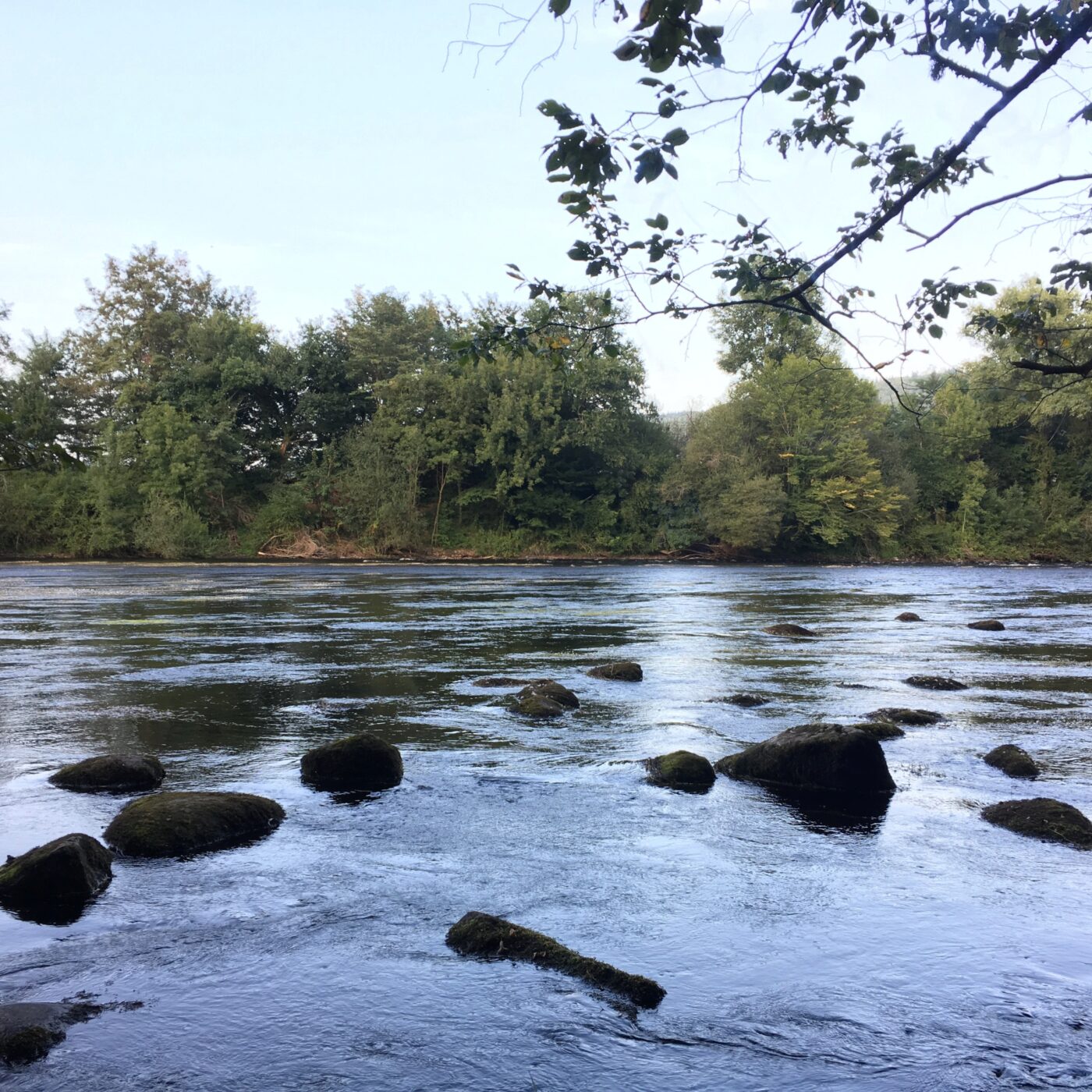 Un nouveau barrage sur la Dordogne pour sauver le fleuve Charente d’ici 2050 ? episode artwork