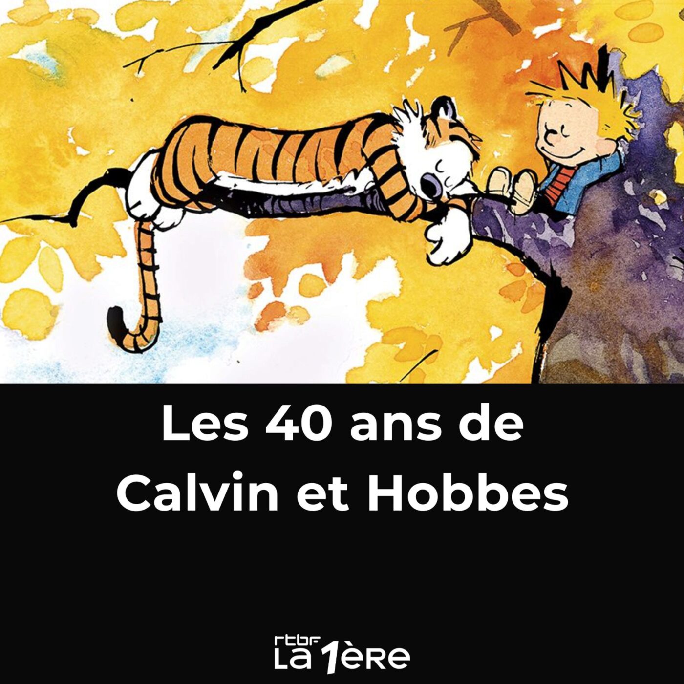 Spéciale Calvin et Hobbes, la série BD de Bill Waterson