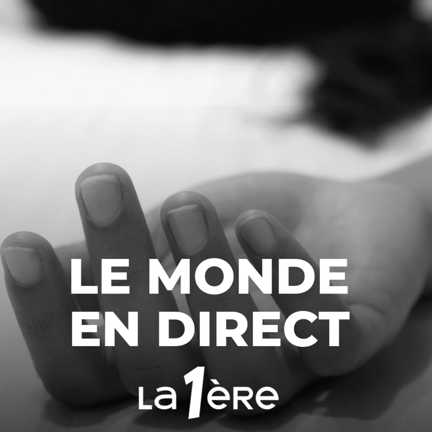 "Le meurtre d'Hélène Rytmann ne surgit pas dans la nuit. Il est le résultat de quelque chose" "Le meurtre d'Hélène Rytmann ne surgit pas dans la nuit. Il est le résultat de quelque chose"