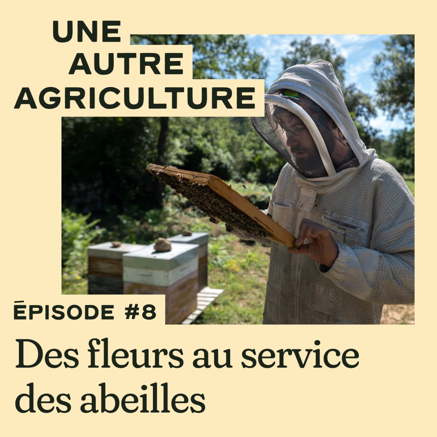Une Autre Agriculture 8/10 - Des fleurs au service des abeilles