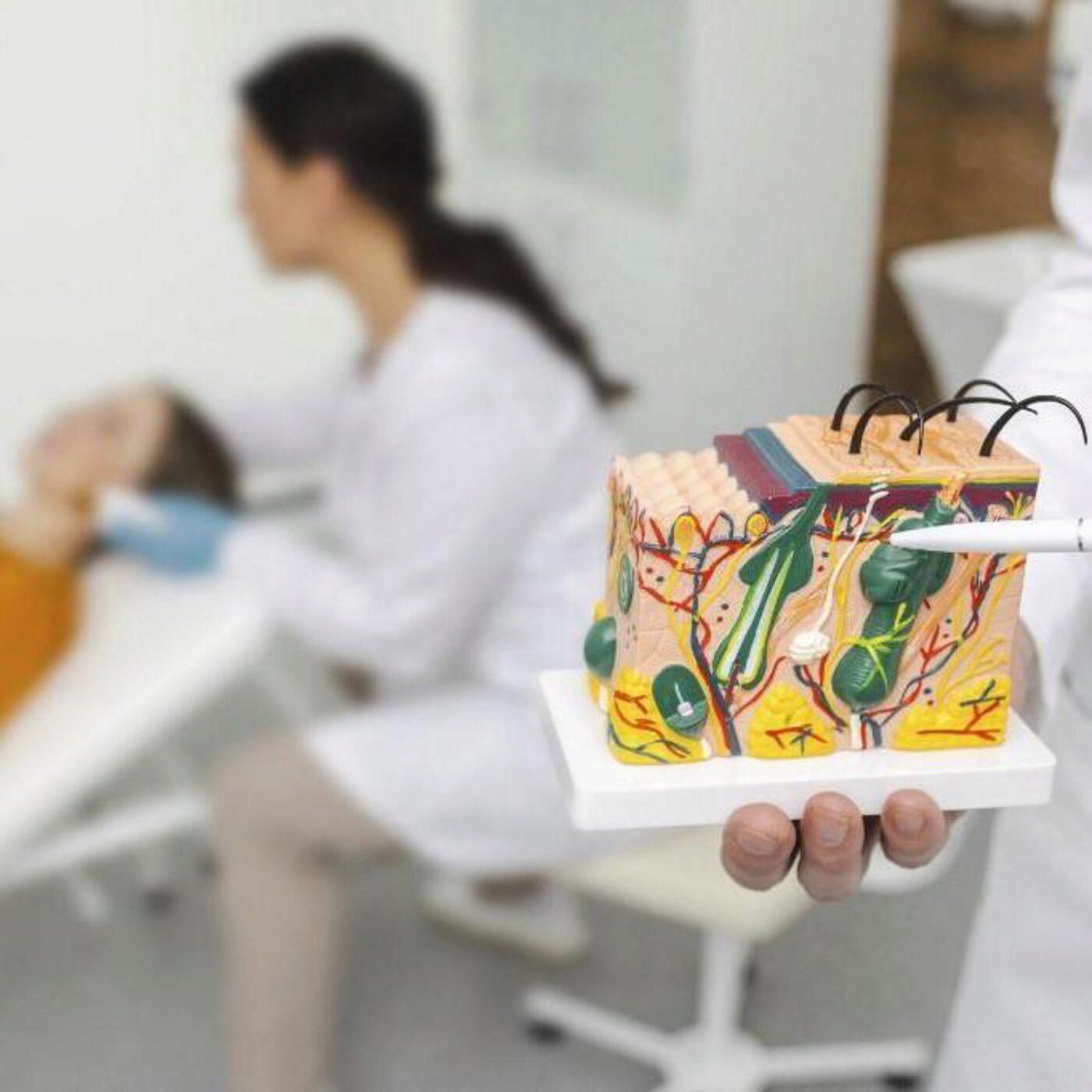 Des vaccins sans aiguilles, la mésange bleue et l'élixir de jouvence