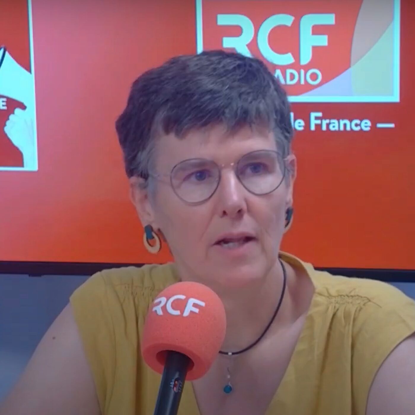 Université d'été de l'ACI à Lille. Cécile Lionet et Sophie Ernst episode artwork