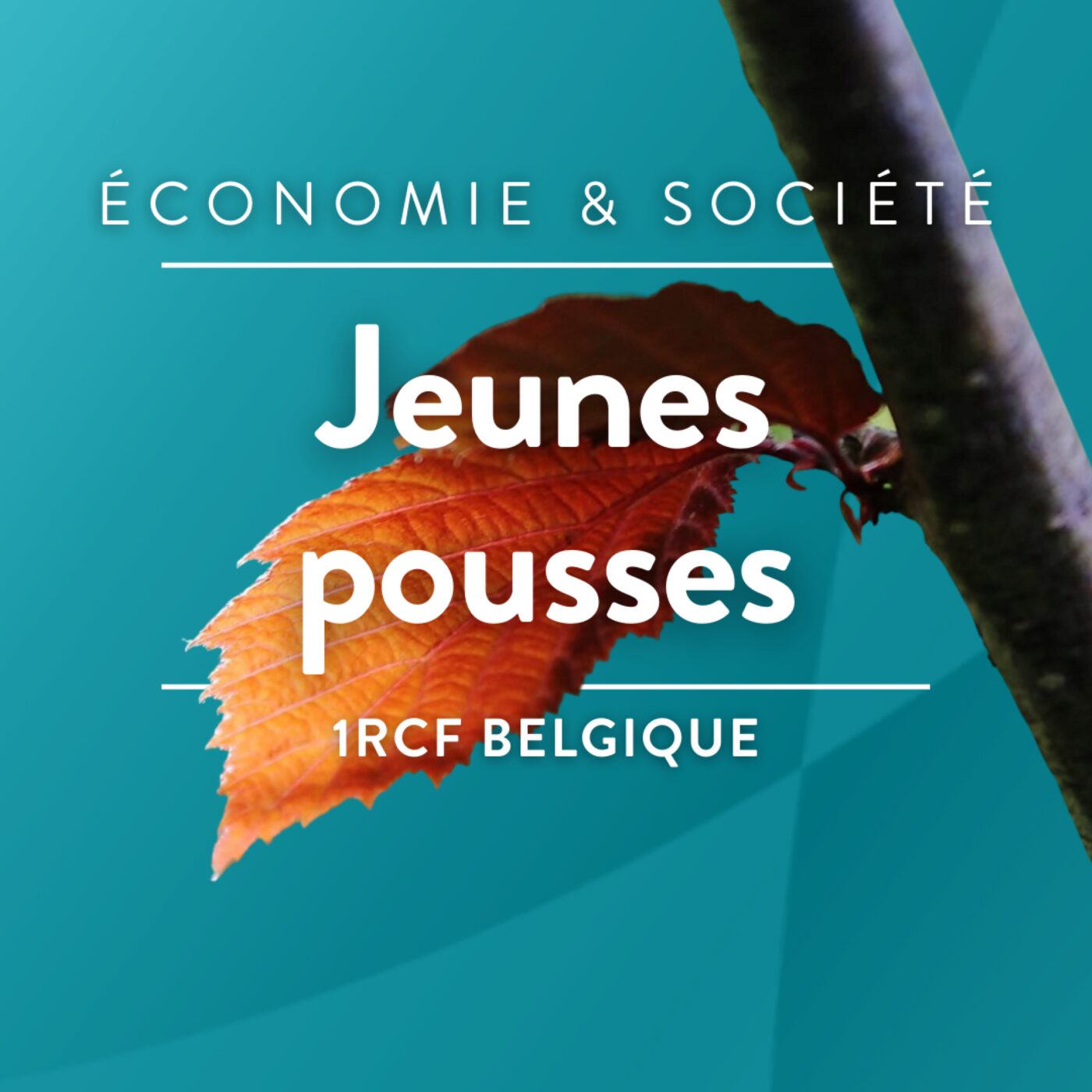 Jeunes pousses