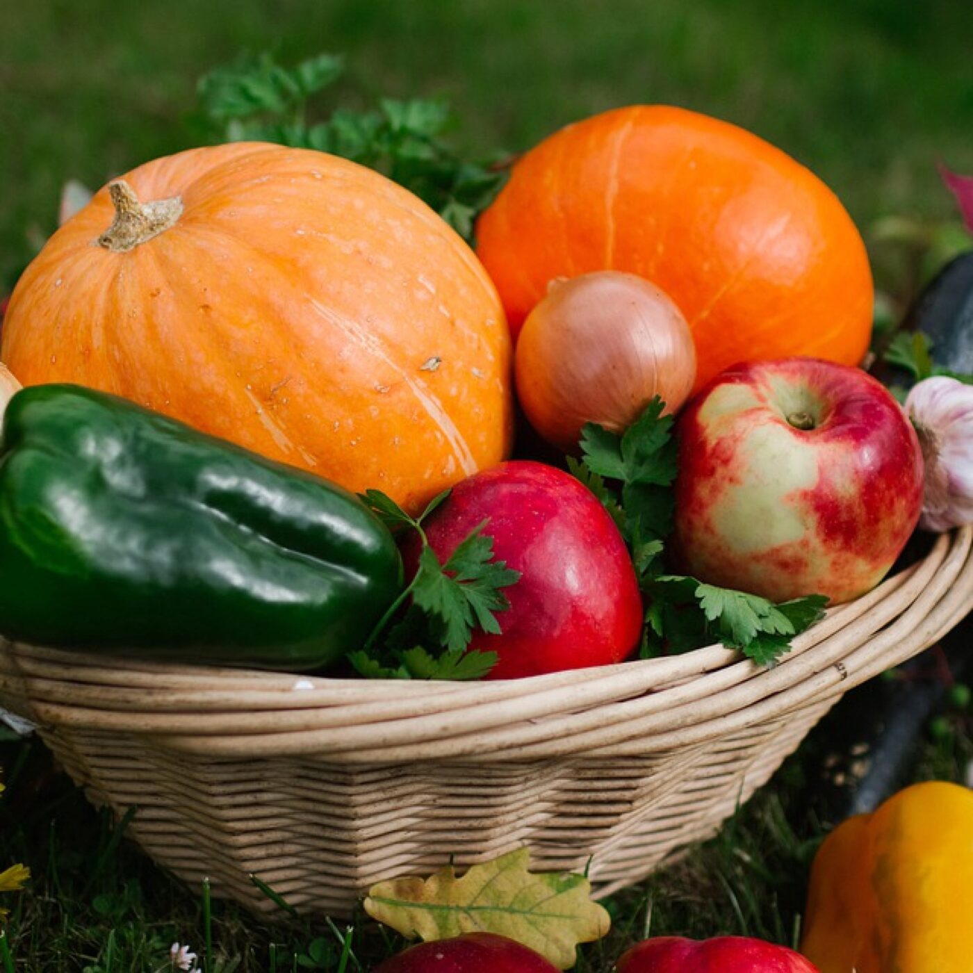 Les fruits et légumes d'Automne episode artwork