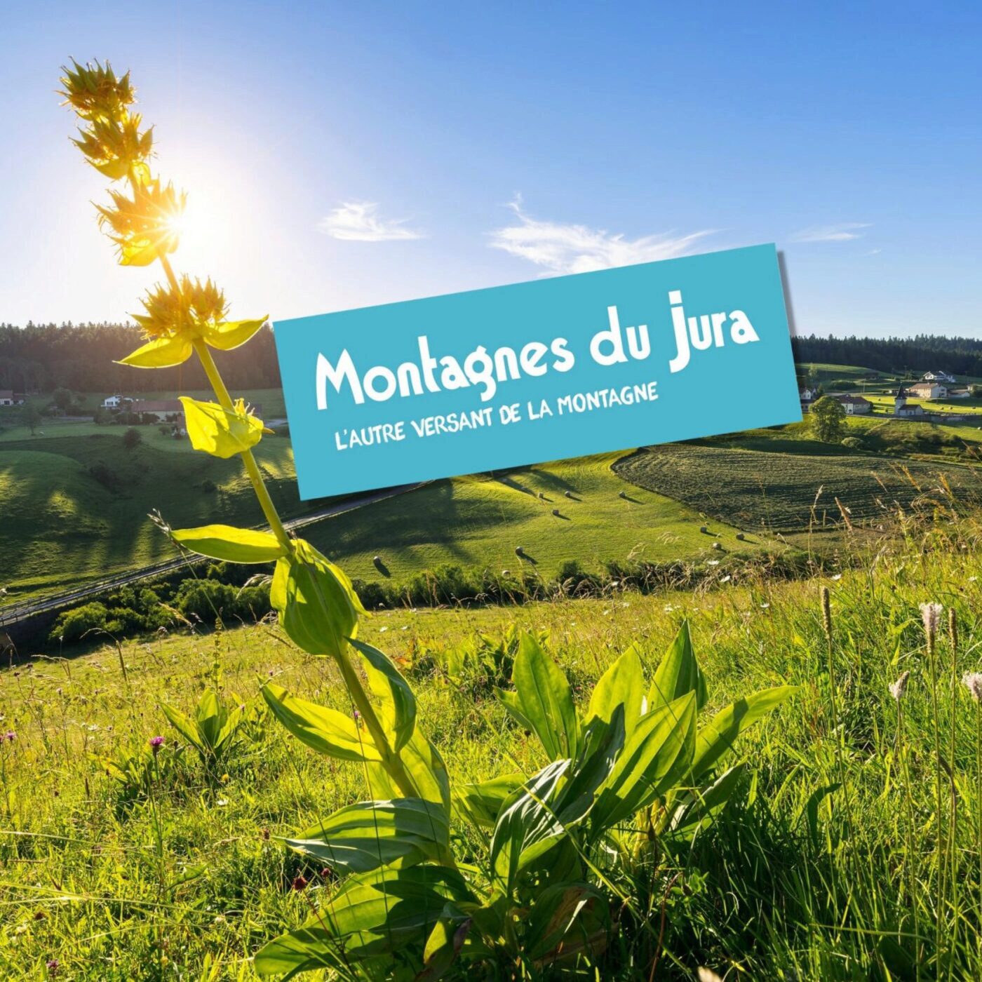L\'invité de la rédaction (JURA)
