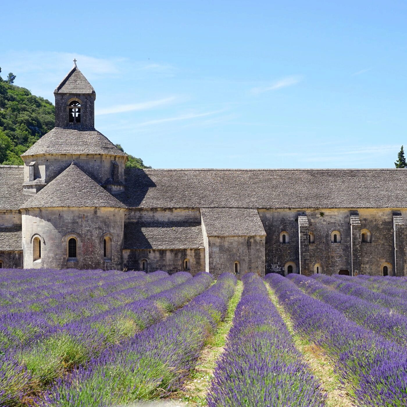 Les jardins français, du cloître monastique aux murs végétalisés (3/5)