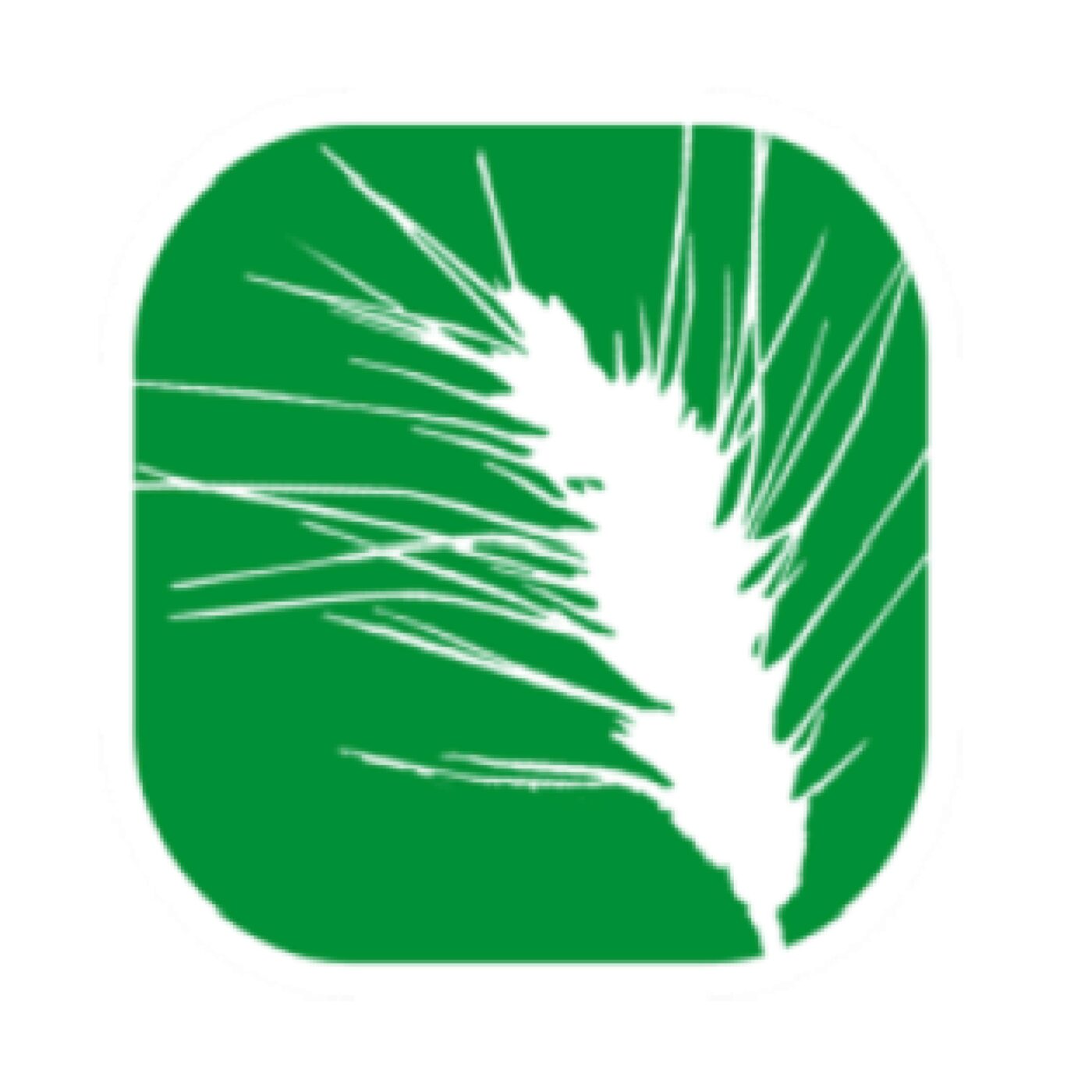 Le Mag (Pays d\'Aude)