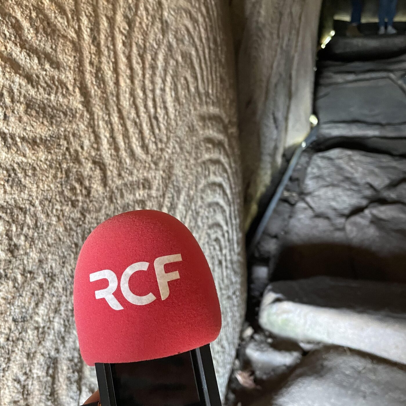 Coup de Projecteur
