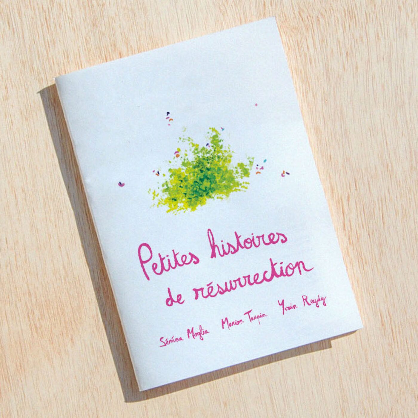 Le livre de poésie "Petites histoires de résurrection" episode artwork