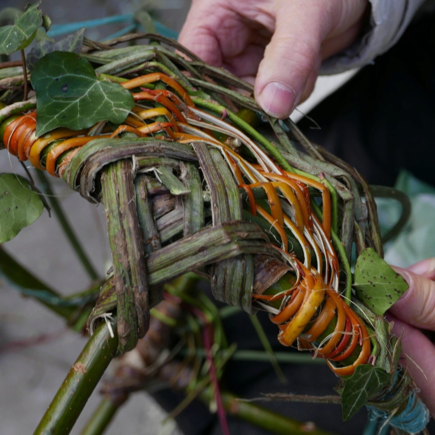 Commune Planète (Berry)