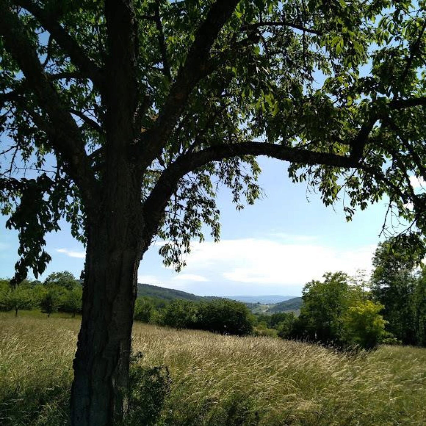 Méditation chrétienne · RCF Alsace