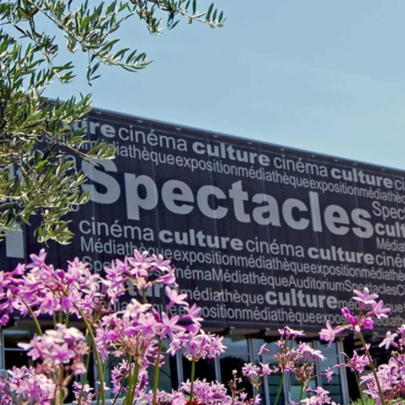 Culture & Co