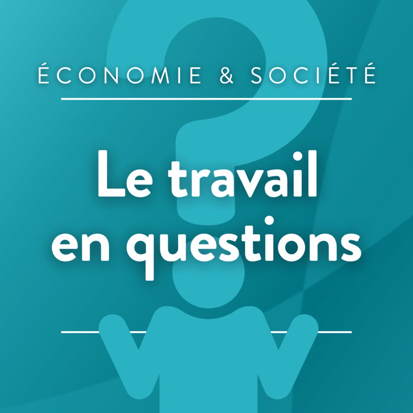 Le Travail en questions