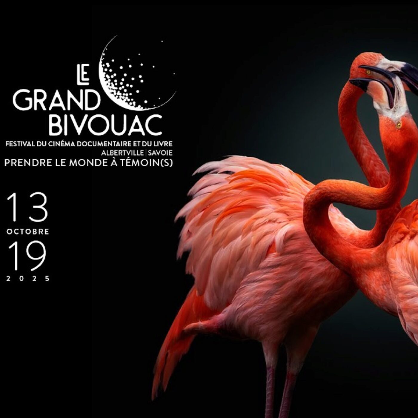 "Le Grand Bivouac n'est pas dans l'idéologie", affirme Guy Chaumereuil, son fondateur episode artwork