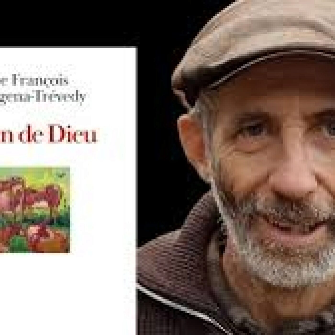 Frère Frère François Cassingera-Trévedy : Paysan de Dieu (Albin Michel) episode artwork