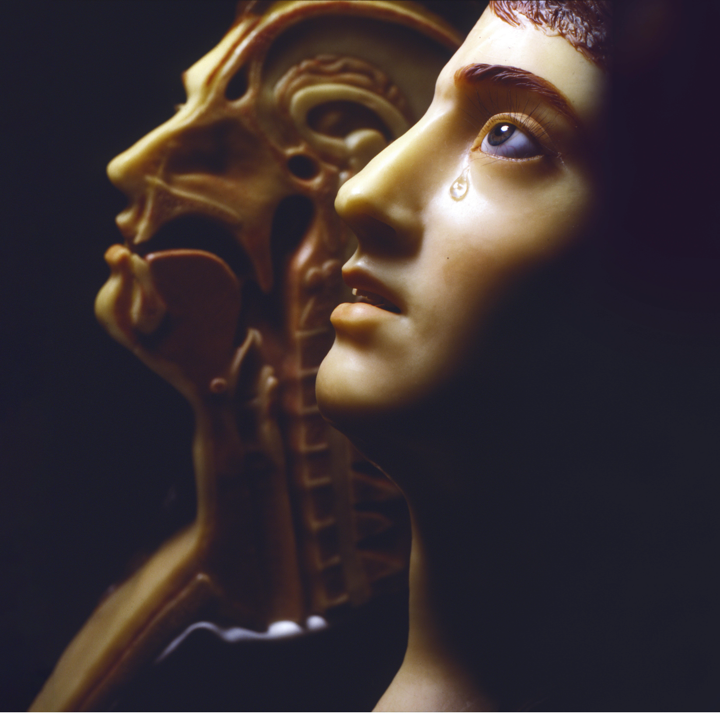 Nova Y Va : Aux origines du genre et du racisme, au Musée de l'Homme à Paris episode artwork