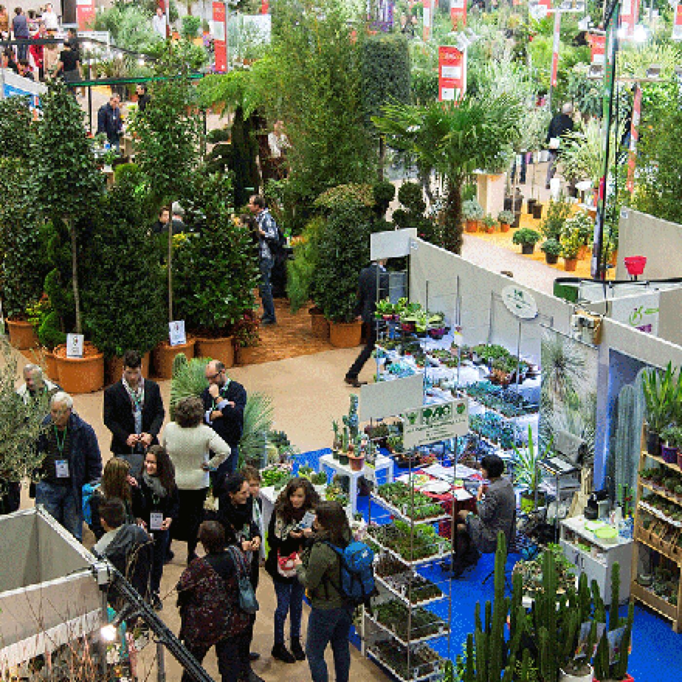Le Salon du végétal spécialisé est de retour à Angers du 15 au 17 mars 2022 episode artwork