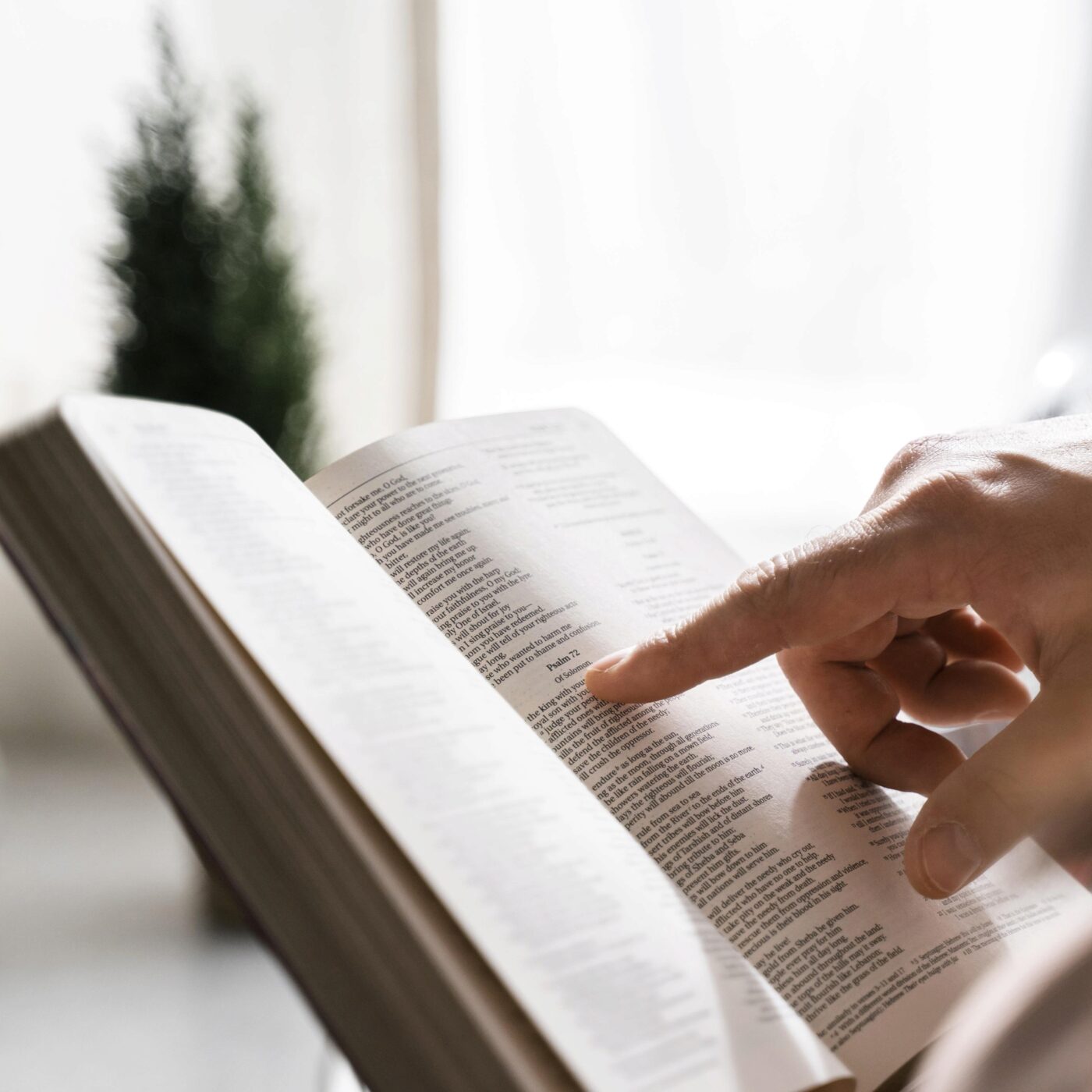 La Bible, un succès dans le monde qui ne tarit pas