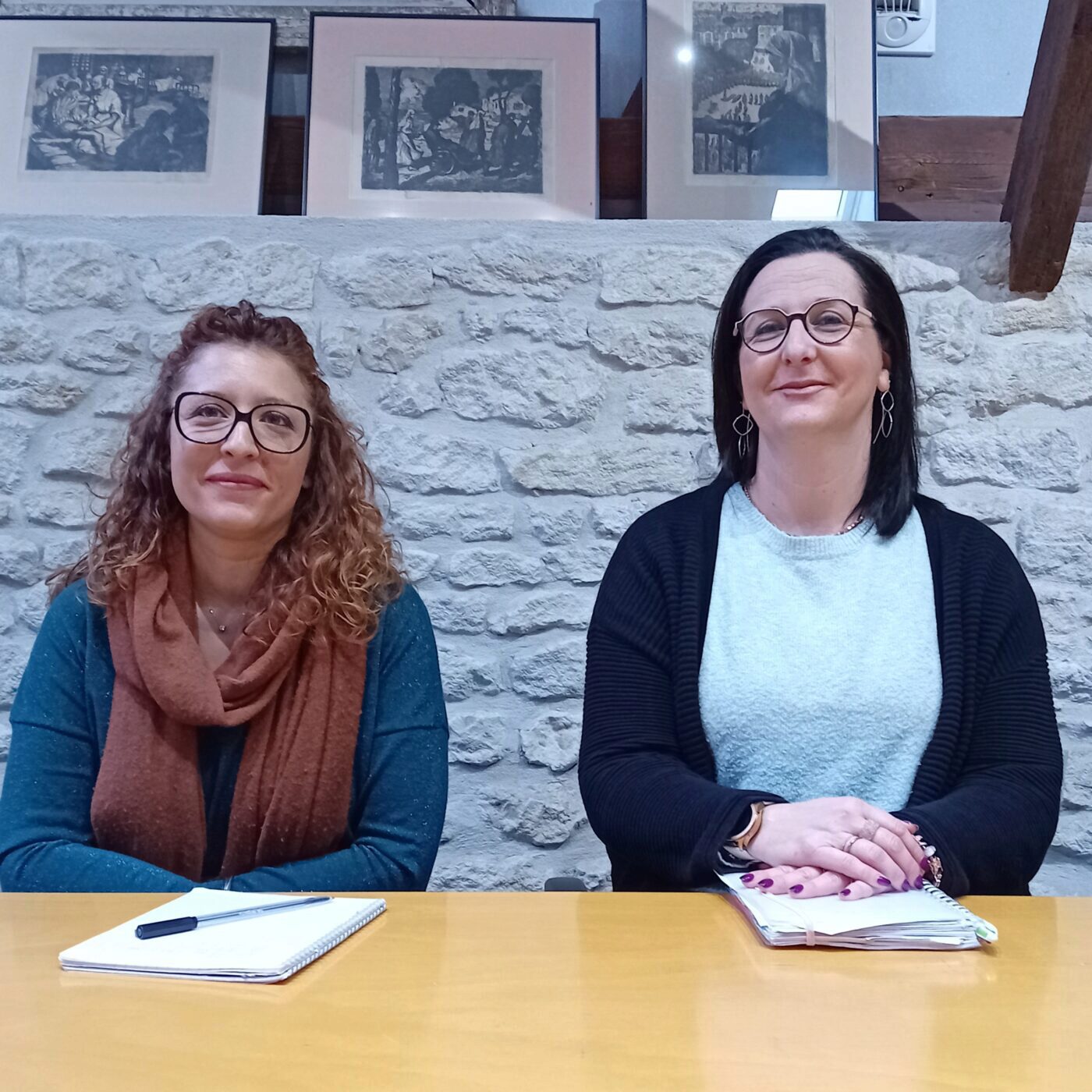 Comment fonctionne le recensement ? avec Julie Guerreau episode artwork