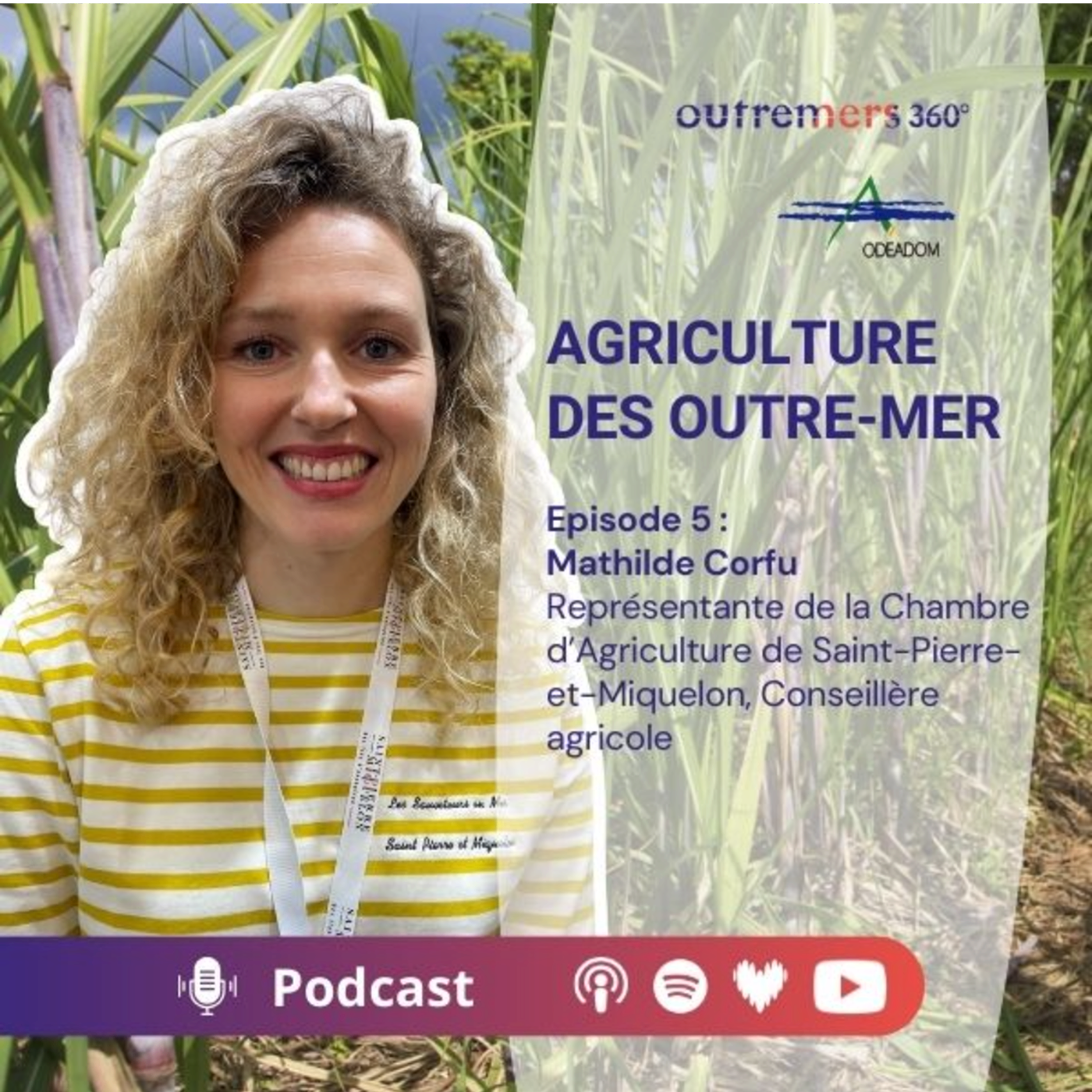 Episode 05_ Mathilde Corfu - Représentante de la Chambre d'Agriculture de Saint-Pierre-et-Miquelon episode artwork