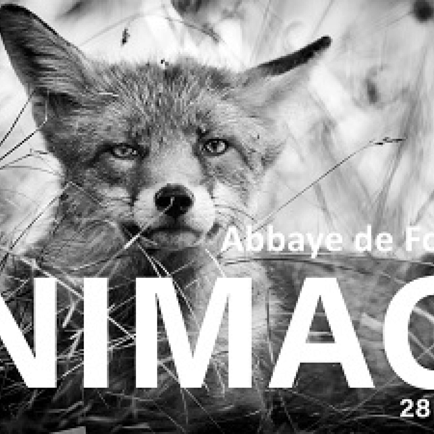 Le Mag (Pays d\'Aude)