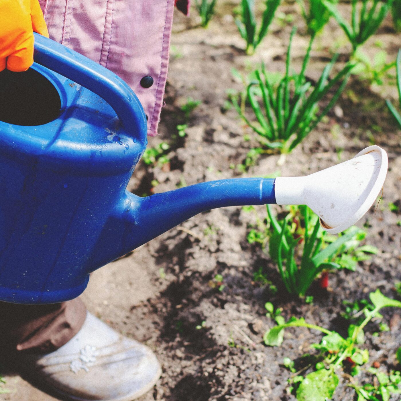 Prenez-en de la graine : des conseils jardinage écolos