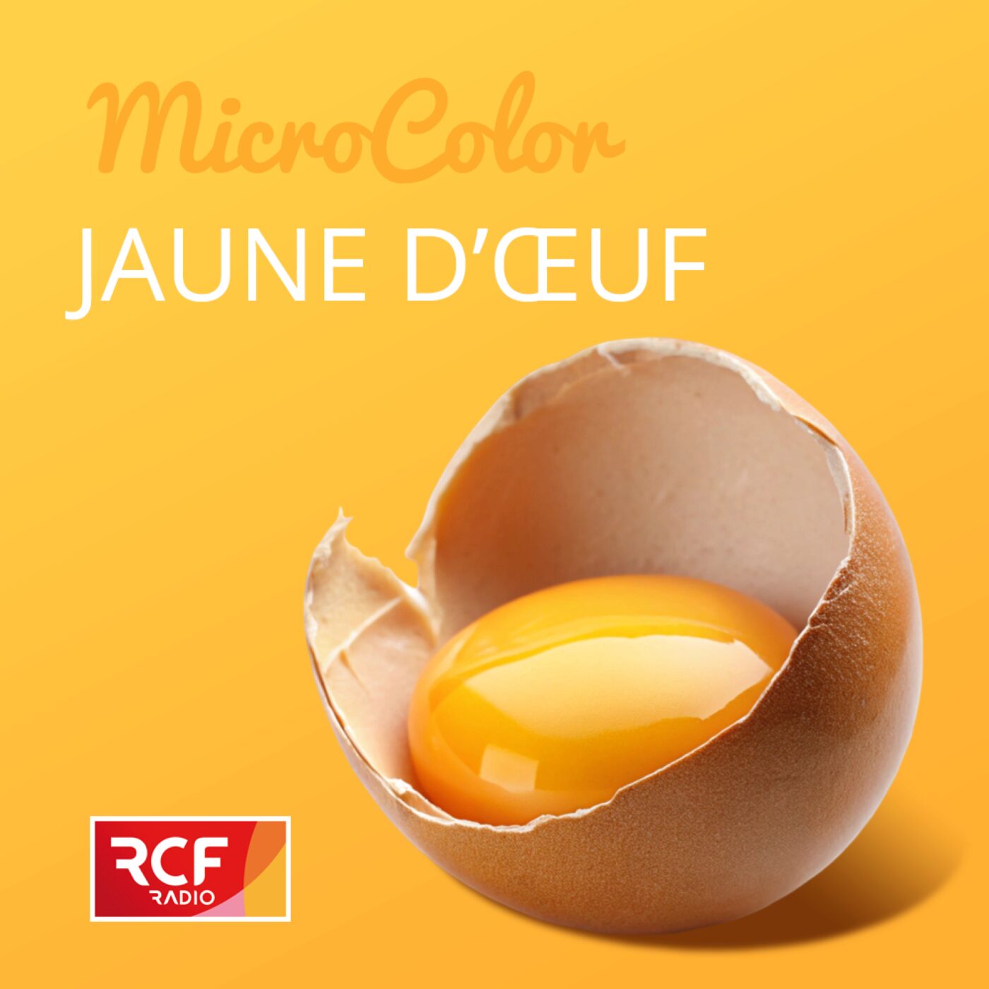 Jaune d'oeuf