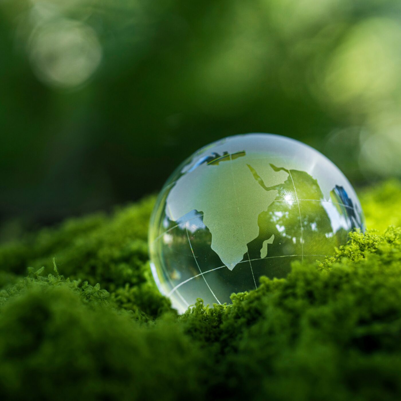 Chronique Société · RCF Alsace