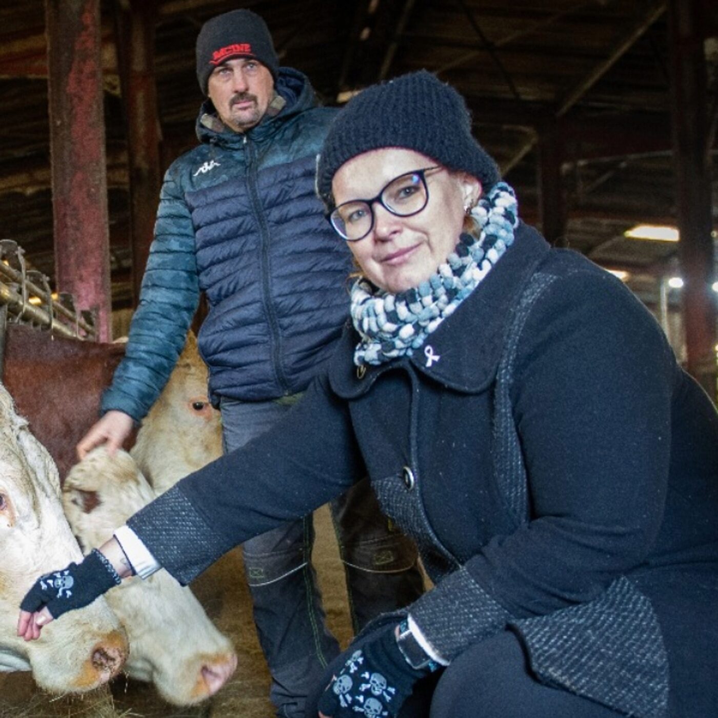 "Nos vaches, c'était nos bébés" : sur RTL, un couple d'éleveurs raconte la perte de leur troupeau après un cas de dermatose nodulaire episode artwork