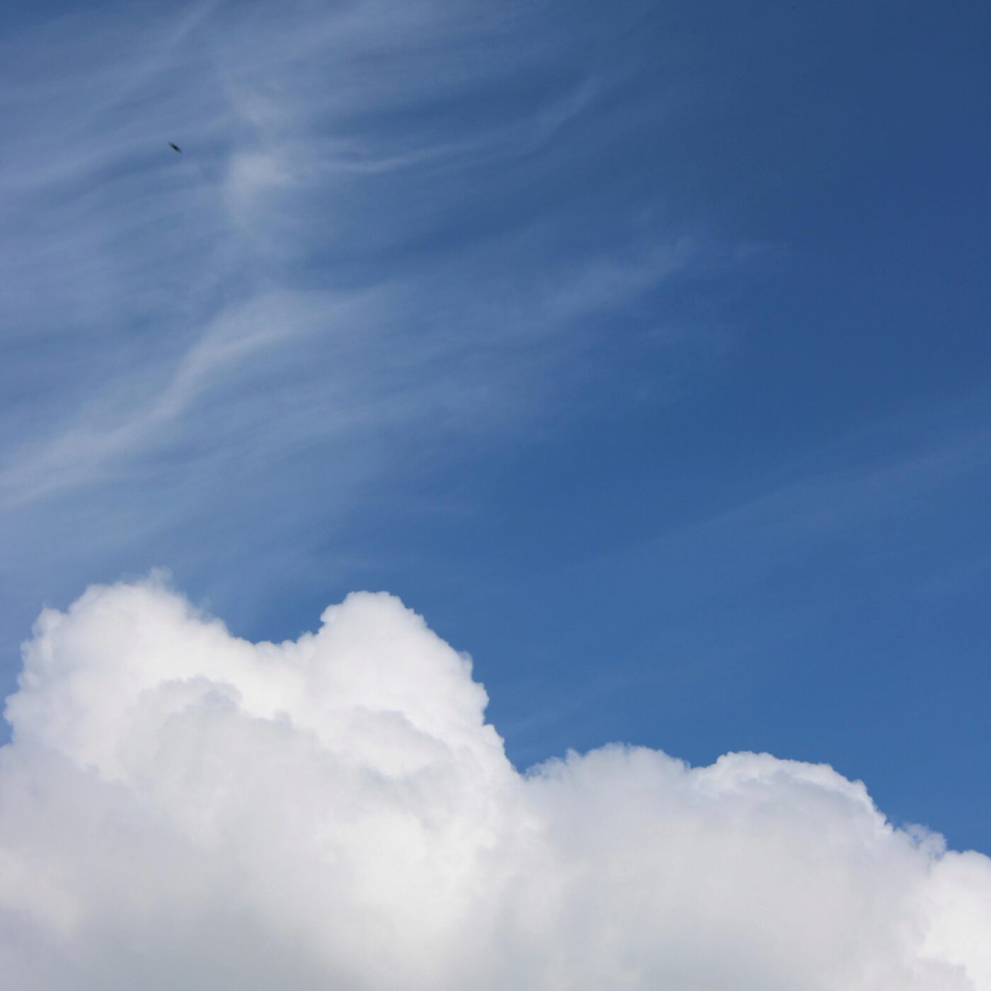 Et si le bonheur n’était pas mission impossible ?