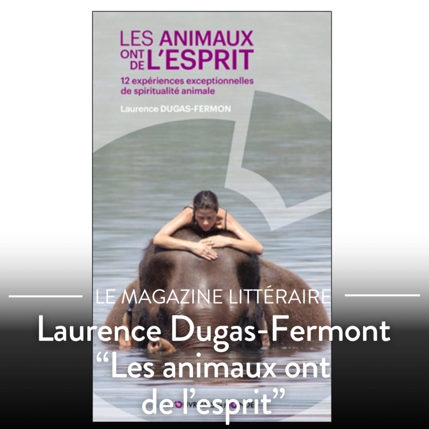 Magazine littéraire