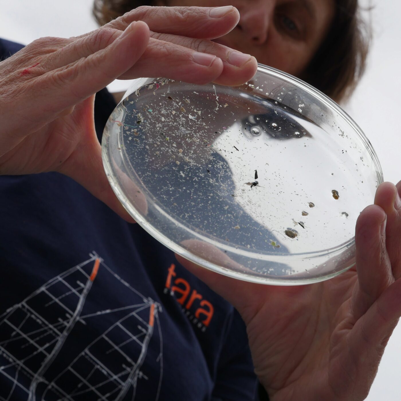 Grand invité régional