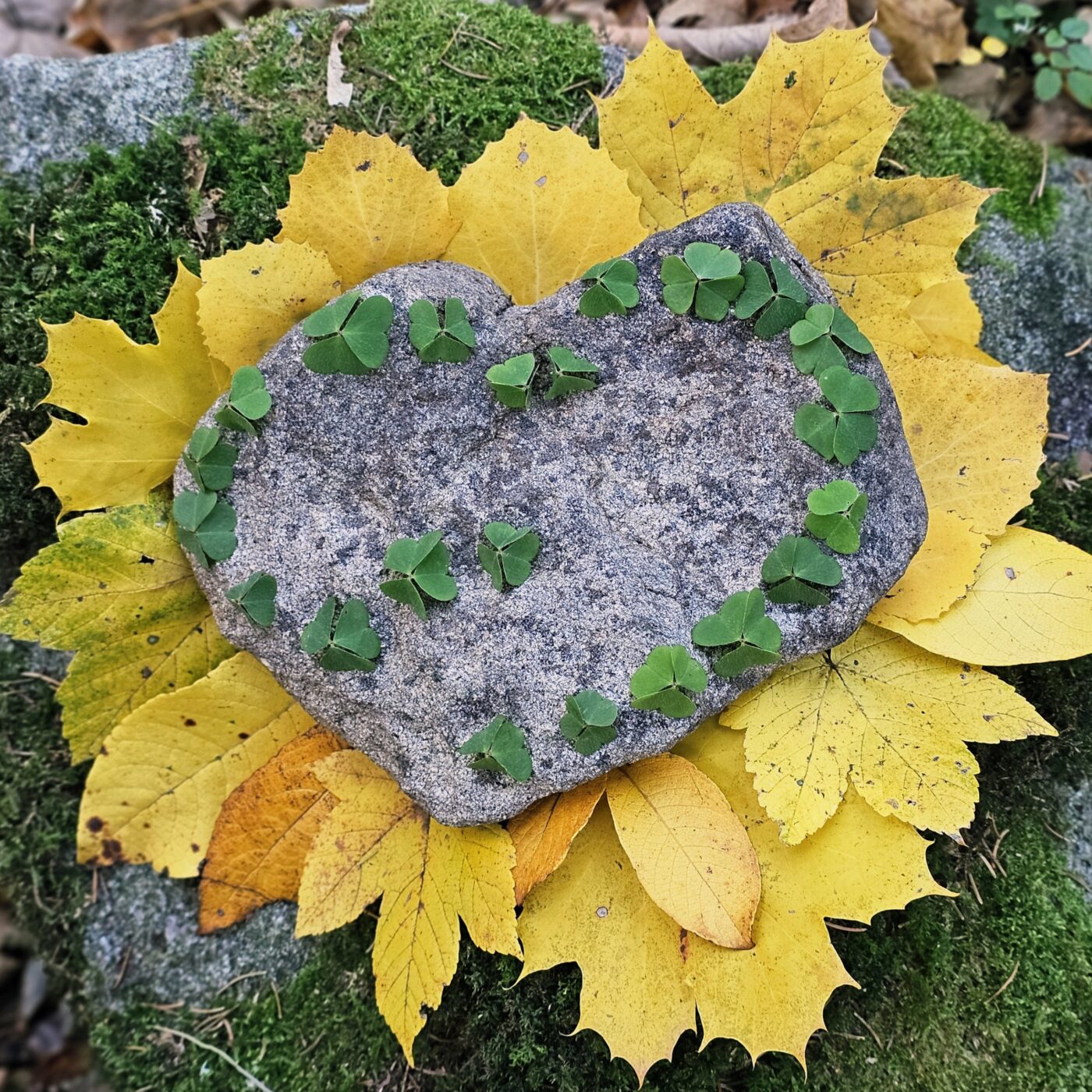 À voix haute · RCF Alsace