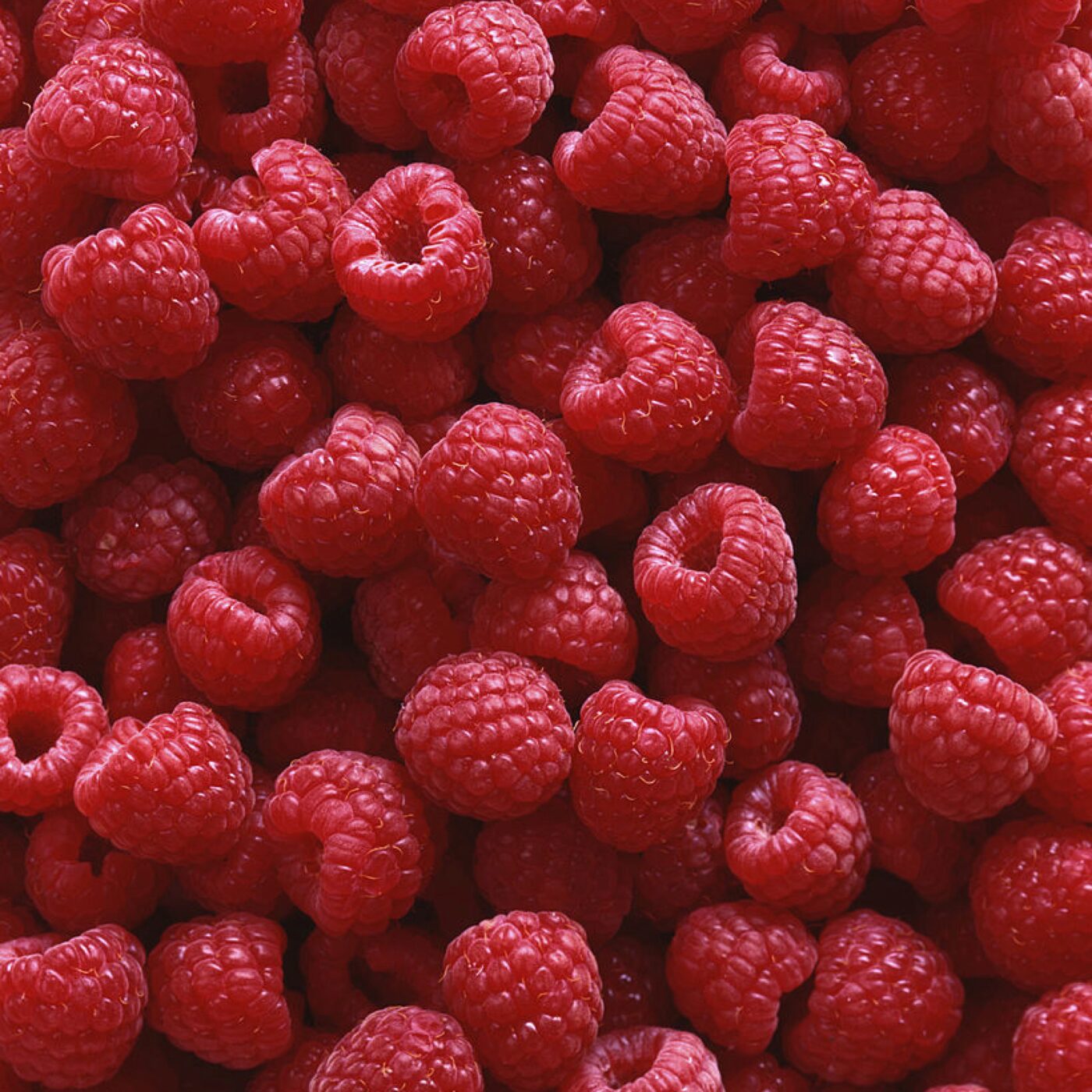 Les framboises : toujours au Top episode artwork