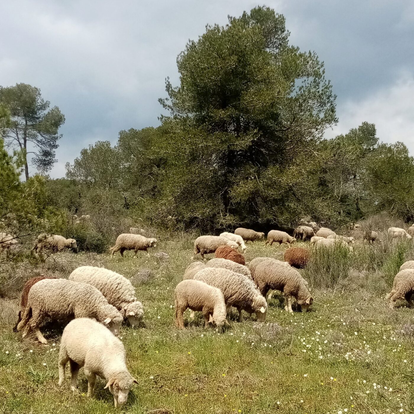 Le Mag de l\'Environnement