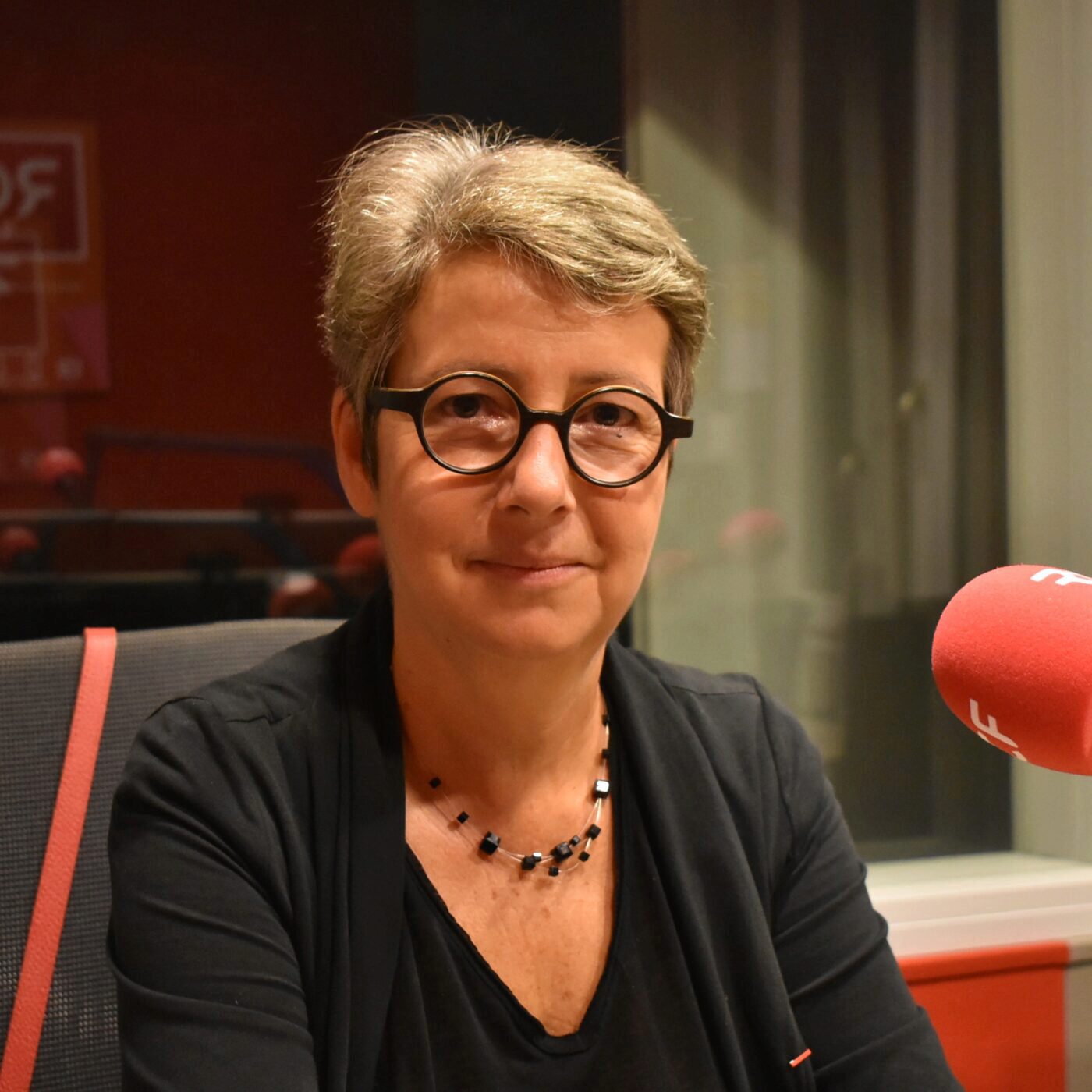 La directrice du CHU d'Angers "regrette la polémique" sur les recrutements episode artwork