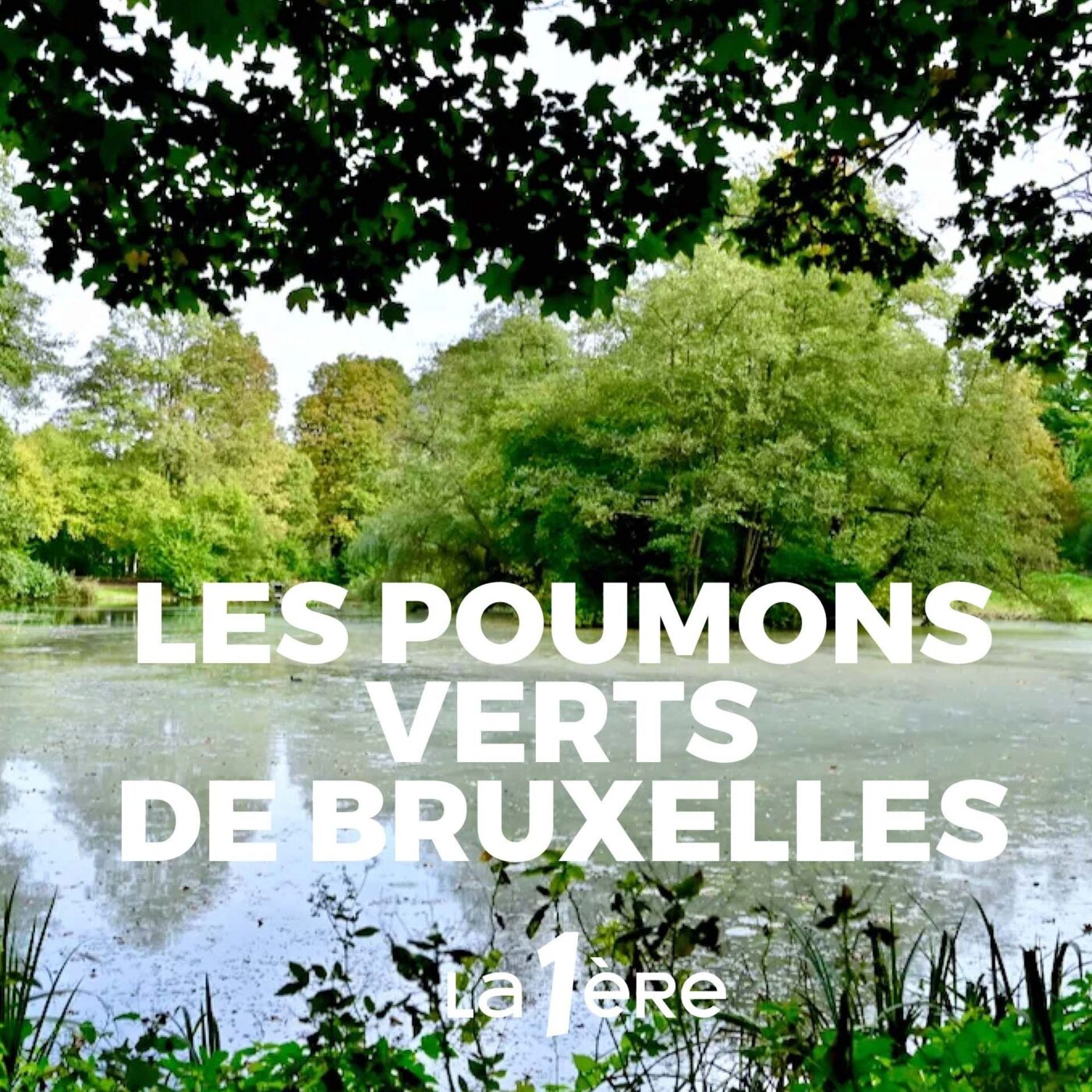Episode 2 : Tournay-Solvay, un parc de château, aux origines de la forêt de Soignes