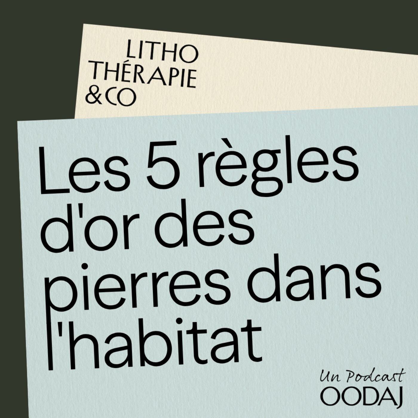 22 - Les 5 règles d'or des pierres dans l'habitat episode artwork