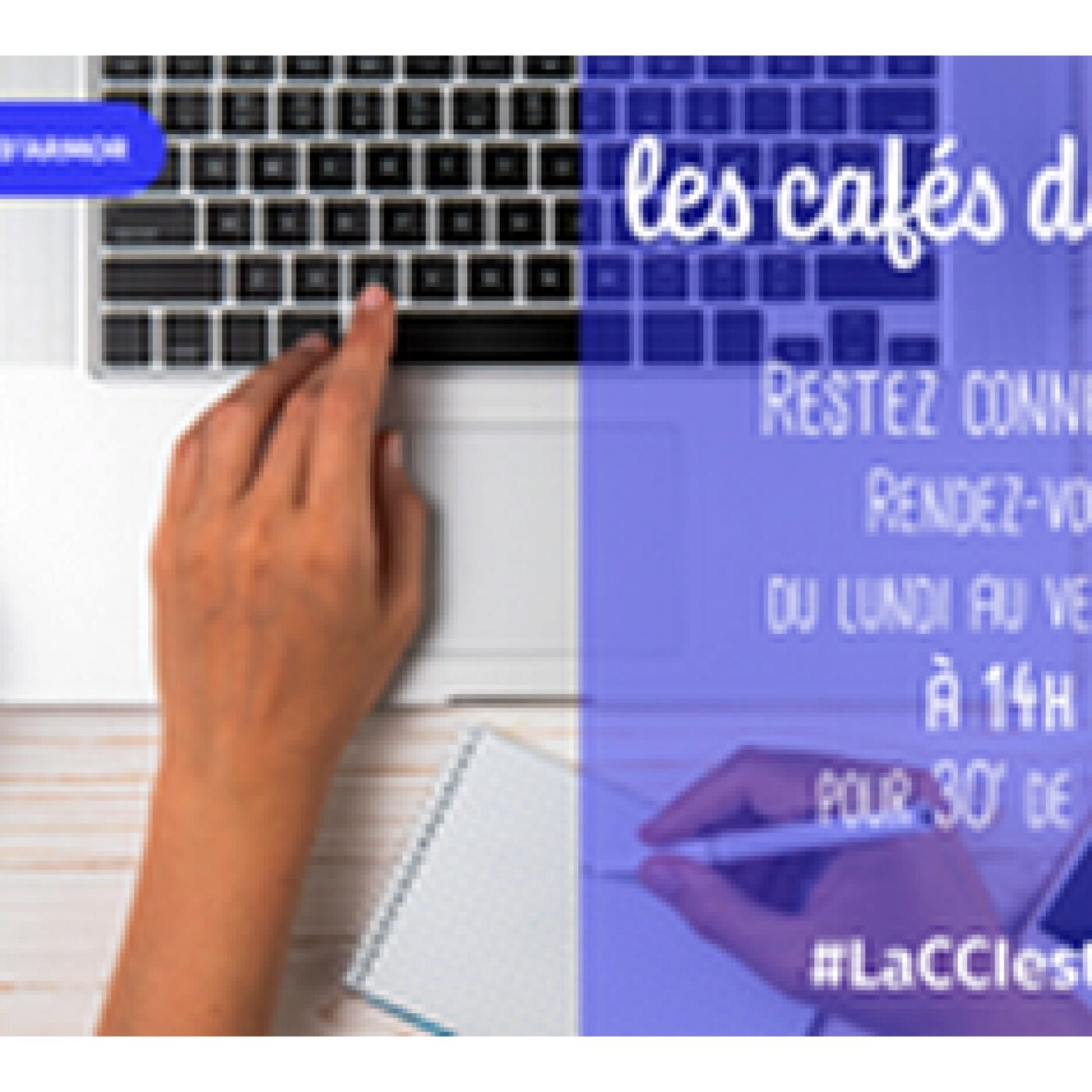 Des cafés du web pour les chefs d'entreprise episode artwork